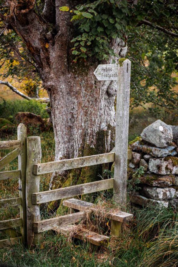mit-dem-wohnmobil-nach-england-030 Wandern in England: ein Public Footpath