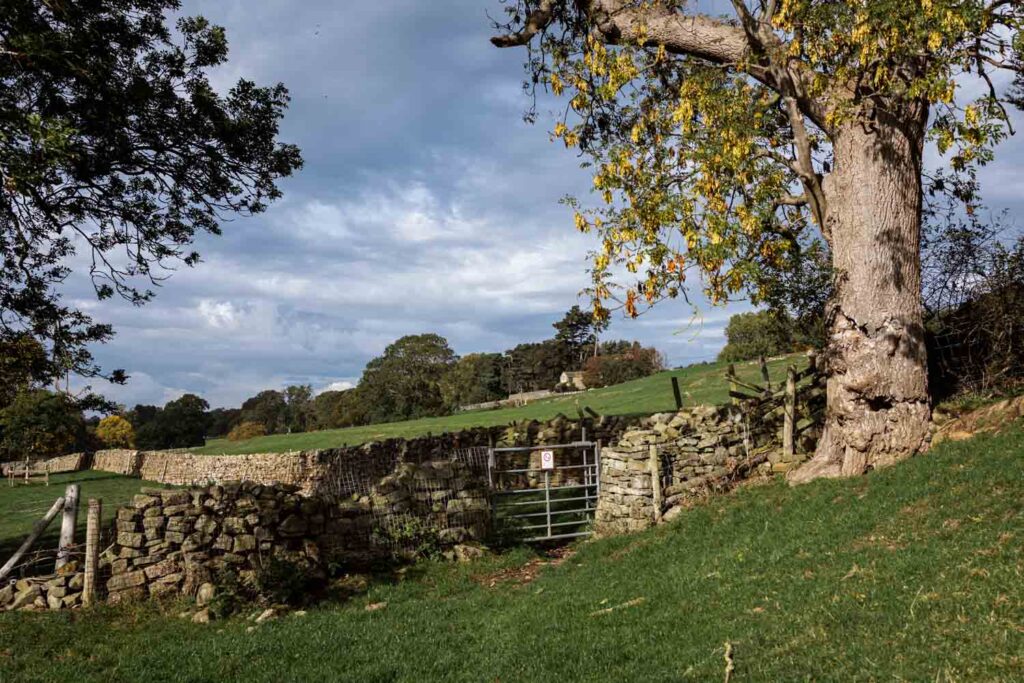 Wandern in England: freies Wegerecht über Farmland in den Yorkshire Dales