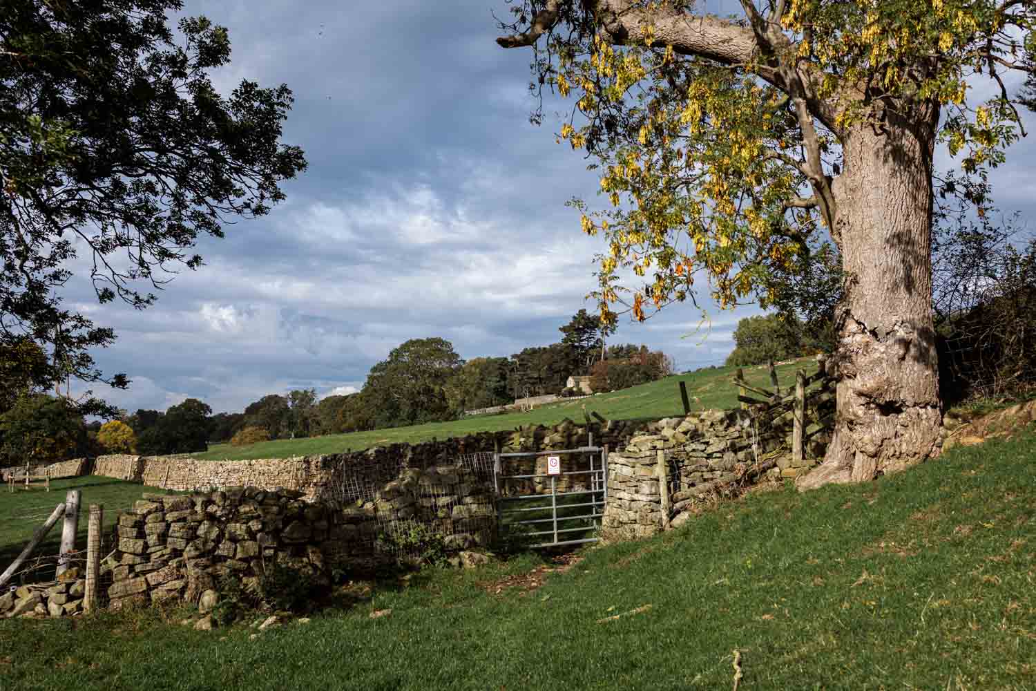 Wandern in England: freies Wegerecht über Farmland in den Yorkshire Dales