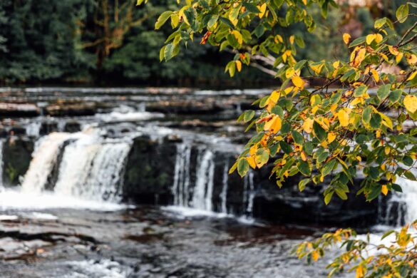mit-dem-wohnmobil-nach-england-047 Mit dem Wohnmobil nach England: Unterwegs an den Aysgarth Fall im Yorkshire Dales Nationalpark