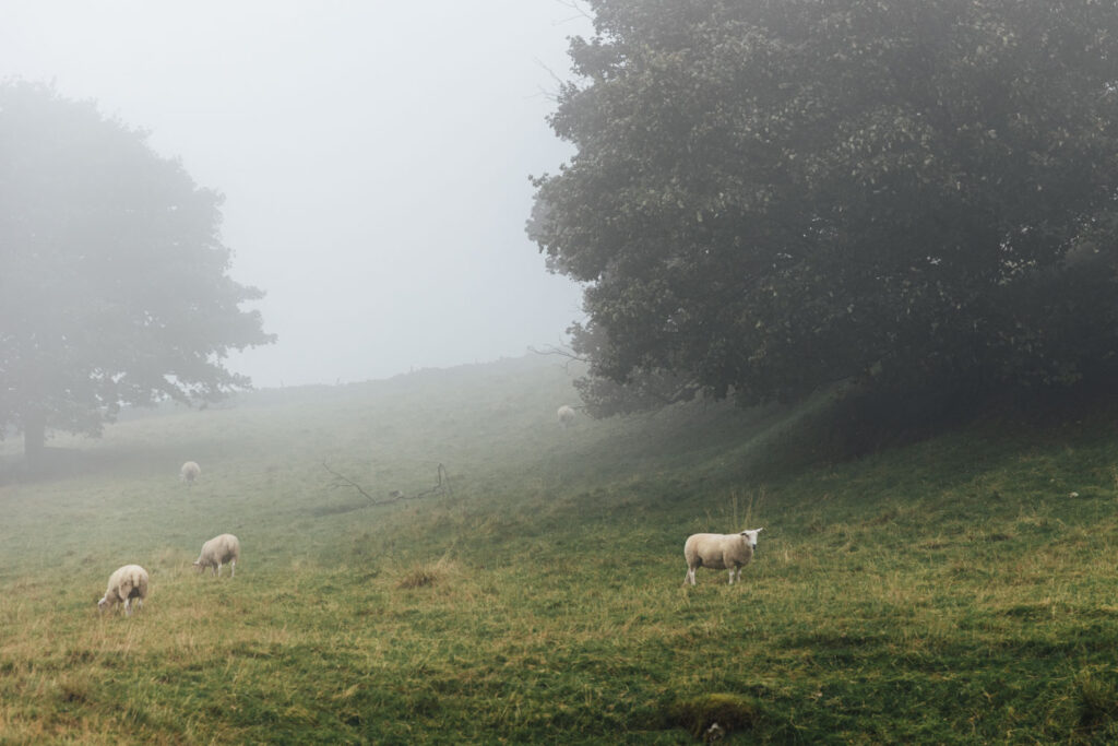 Mystisches Großbritannien – Nebel im Peak District