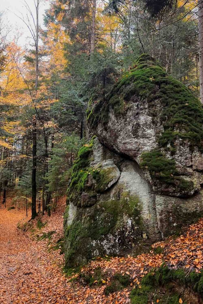 Wanderung zur Steinklamm bei Spiegelau im Herbst im Bayerischen Wald