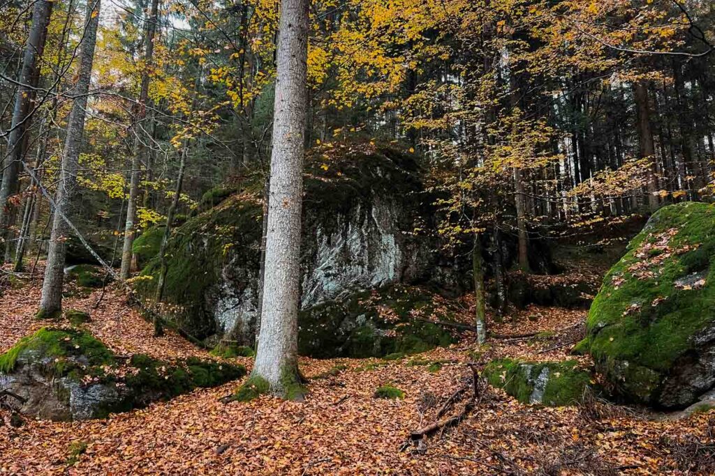 Mystische mit Moos überwucherte Felsen auf der Wanderung zur Steinklamm bei Spiegelau im Herbst im Bayerischen Wald