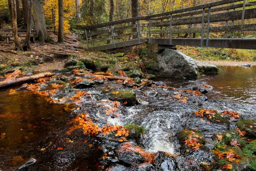 Steinklamm bei Spiegelau Rundwanderung im Herbst im Bayerischen Wald - Brücke über die Große Ohe