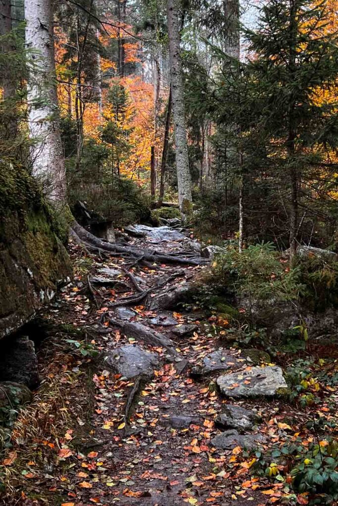 Steinklamm bei Spiegelau Rundwanderung im Herbst im Bayerischen Wald