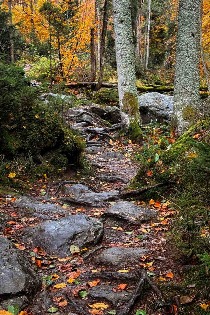 Steinklamm bei Spiegelau Rundwanderung im Herbst im Bayerischen Wald