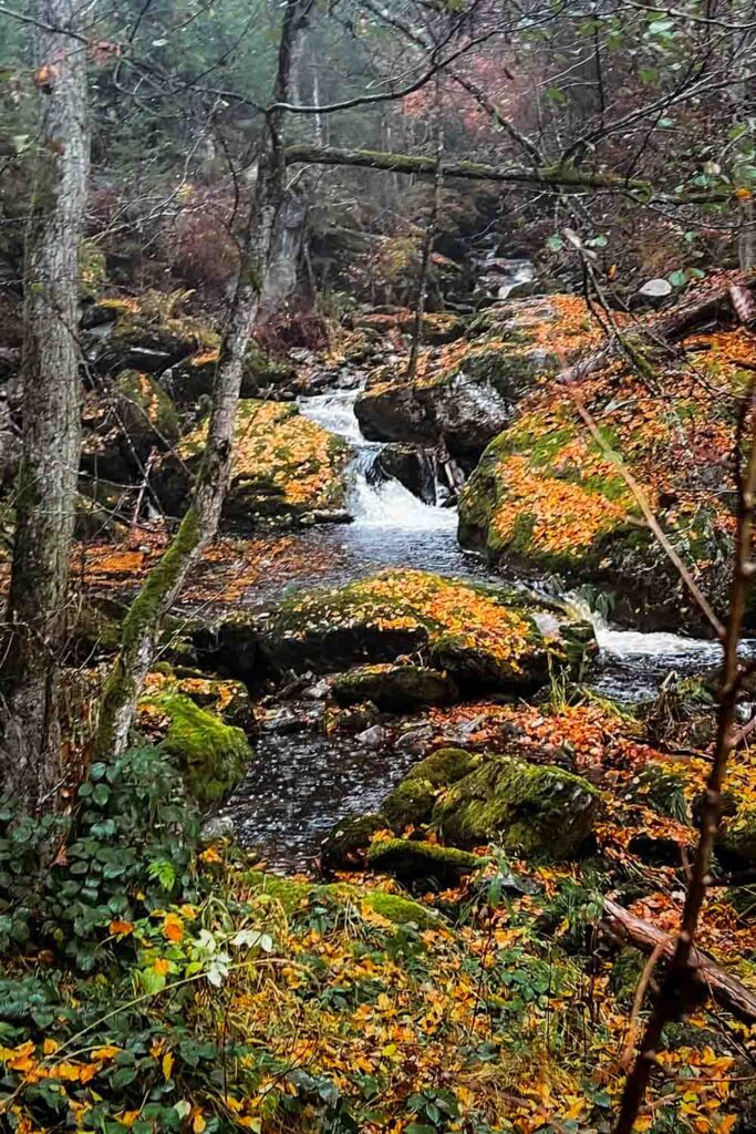 Steinklamm bei Spiegelau Rundwanderung im Herbst im Bayerischen Wald - Die Große Ohe
