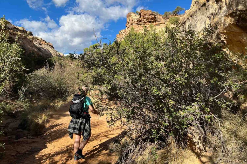 wanderung hickman bridge capitol reef 001