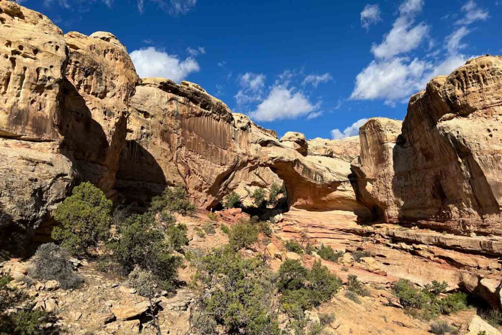 wanderung hickman bridge capitol reef 002