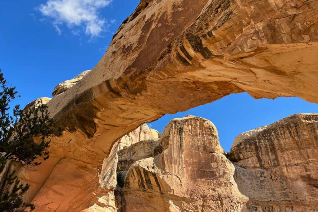 wanderung hickman bridge capitol reef 003