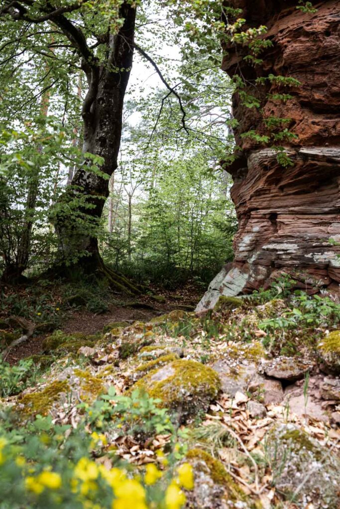 Wanderung zur Burg Schöneck und Wineck: die Wanderung führt an spannenden Felsformationen vorbei