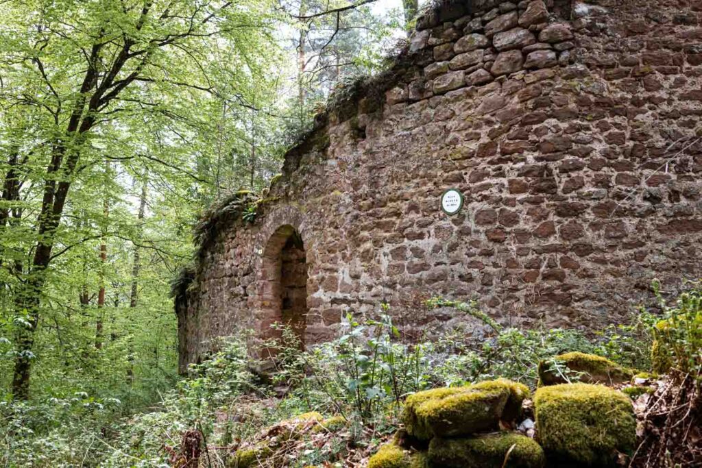 Wanderung zur Burg Schöneck und Wineck: Von Burg Wineck ist nicht viel über