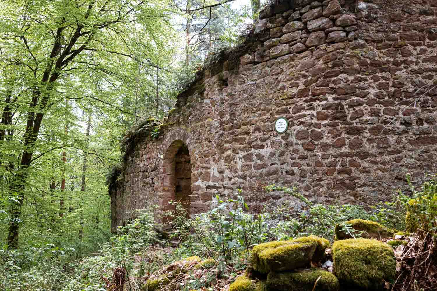 Wanderung zur Burg Schöneck und Wineck: Von Burg Wineck ist nicht viel über