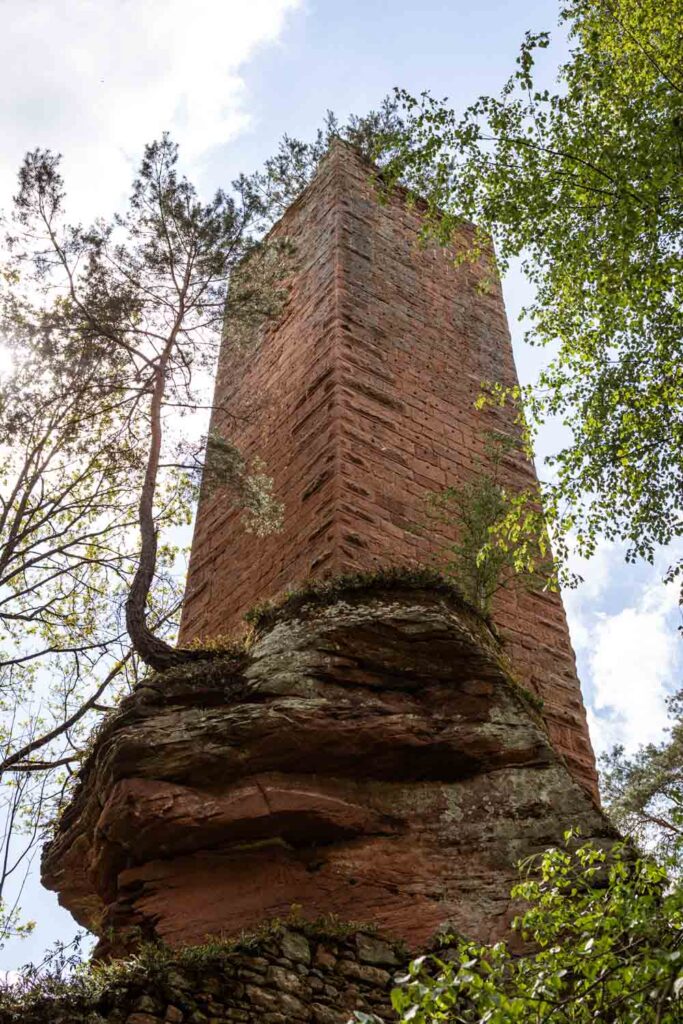 Wanderung zur Burg Schöneck und Wineck: Von Burg Wineck ist nicht viel über