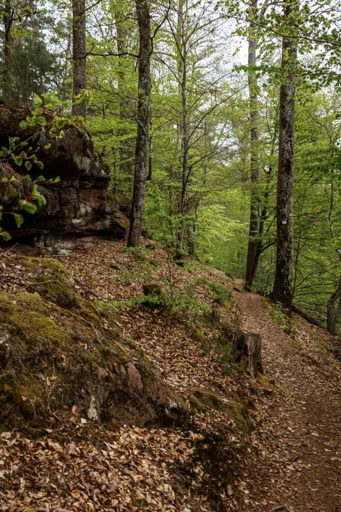Wanderung zur Burg Schöneck und Wineck