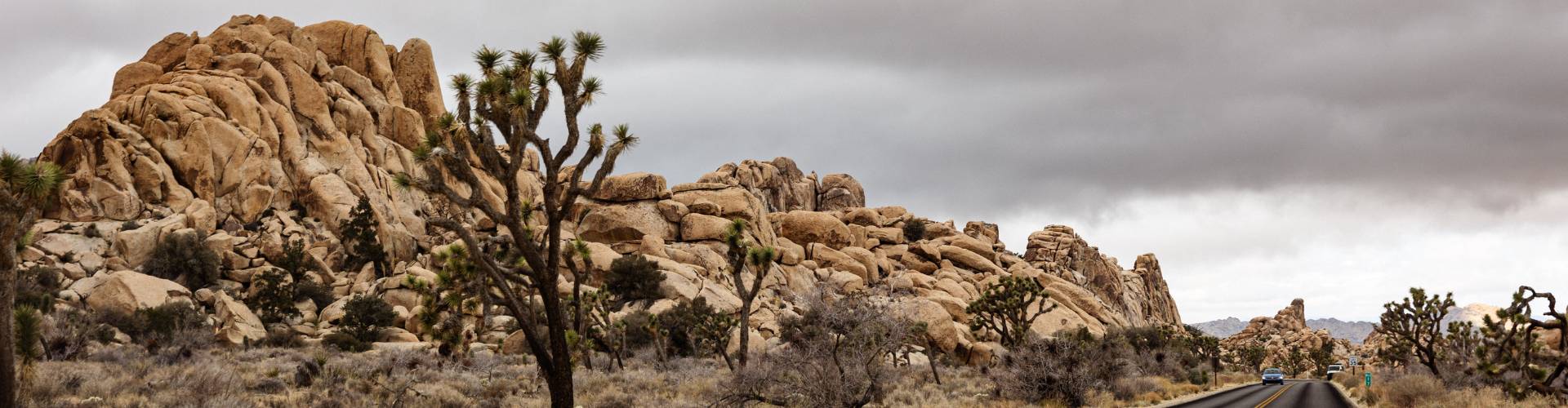 USA Nationalparks Joshua Tree Nationalpark