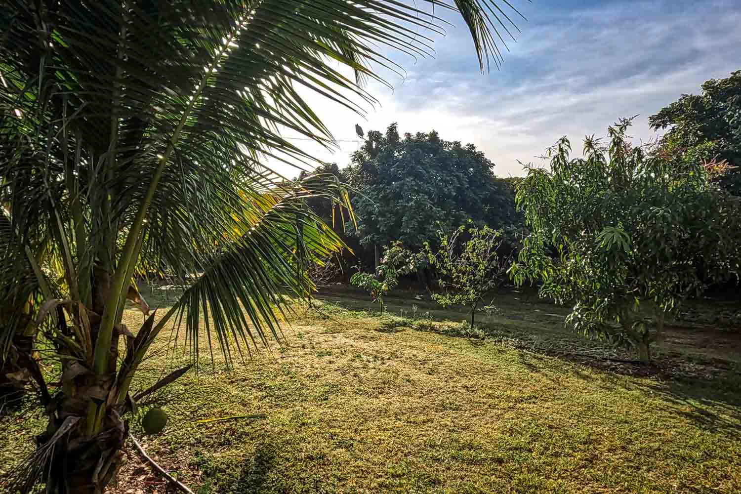 Unterkunft Homestead Florida: Übernachten auf einer Obstplantage
