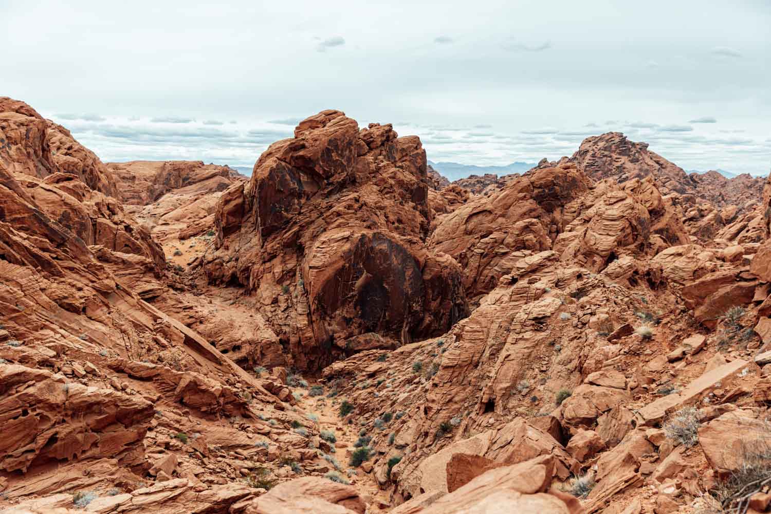 Rote Felsen am Fire Canyon Overlook im Valley of Fire State Park