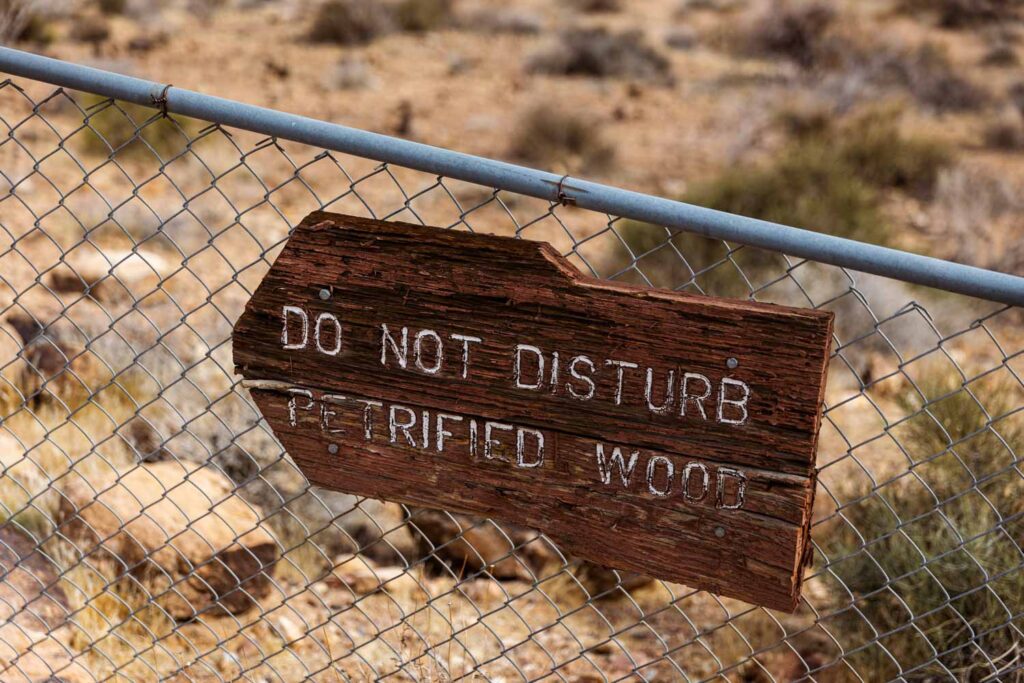 Am Petrified Logs Loop im Valley of Fire State Park
