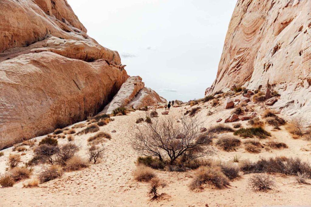 Trailhead des Whitedome Trails im Valley of Fire State Park