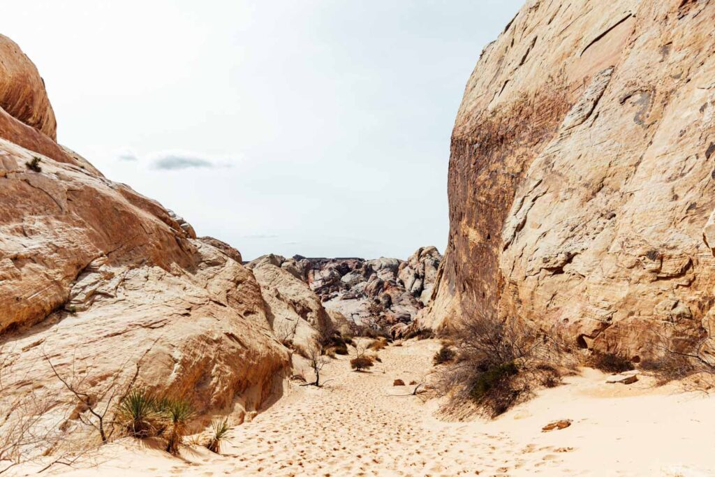 Der Whitedome Trails im Valley of Fire State Park